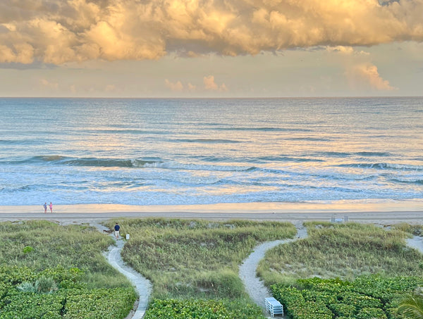 Beautiful Delray beach with grassy plains and sandy paths leading up to the shore