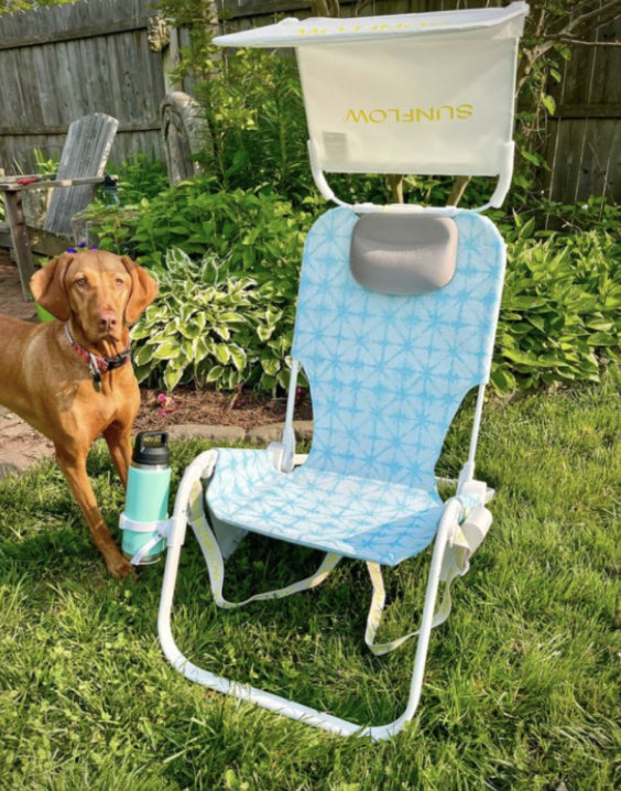 chair and dog